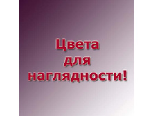 ���� ��� 190,90�