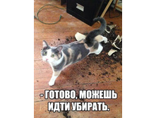 ������. ������ ���� �������