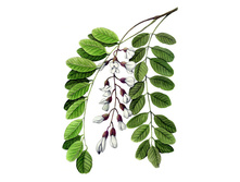 ������, ������, 25� 	������ . ���� 108 ���