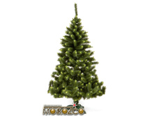 ����� ��������� 1.2�, 2.1�