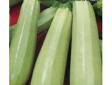 ������� �������� ,(��) 6,00 ���. [���.5000093]