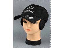 Image042.gif
