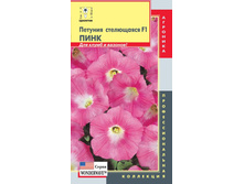 ������� ���������� F1 ���� wonderwave, 34 ��� + ���.����
