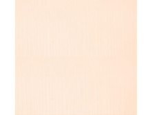 ������� � ���������� ������� An*na 080 ���������� � ������������, ������ 280 ��, 185 ���