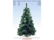 ��� "����� "������ �������" �����-������� ���-����, ������� ������ 120 ��