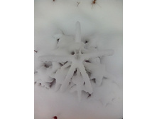 IMG 20151120 122132.jpg