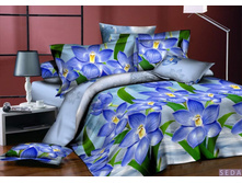 PL-10-3_2370 ���_���� �� �����_1580 ���