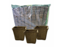 �������� �������� 60�60 (�������) ����� ���00084530 1,65.jpeg