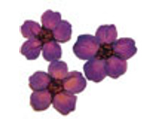 F7 ���������� ��������-38 ���.jpg