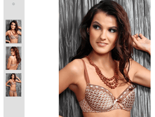 ����������� � 1298.bmp 220,00