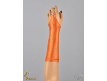 018 an42015-00059.jpg