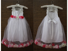 ������ ����� ��������