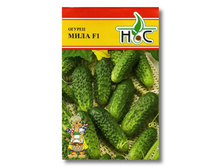 ������ ���� F1 7�� ��� ��� �.� 23,00 ���.. [���.10000109]