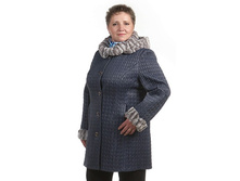 222501	������ ��������