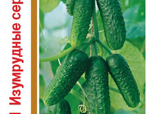 ���������� ������� F1 ����� 1+1  20�� ������ 30,14���.. [���.10000745]