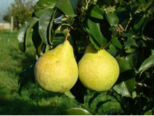 ����� ������ �����-400�