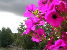 DSCN4816-1.JPG