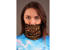 ������ �������: ����-0000-0360