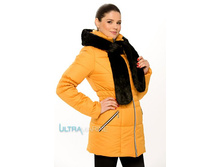 ������ ������������ ������. ������