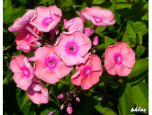 ���� 18 - ����� �������