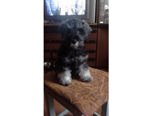 20150916 164841.jpg