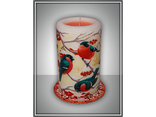 5433 �����-������� ���������� ������ ����� ��������- 210,25 ���..jpg