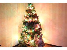 ��� �@����� ��������� �������.1986 (2014 ���)