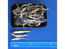 ������� ��������