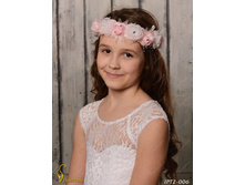 IPT2006-00007 IPT2-006  250�.