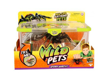 1850 (��� � ���������)