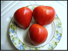 ����� �������� F1 10�� ��� ��� �.� 15,50 ���. [���.��000000872]