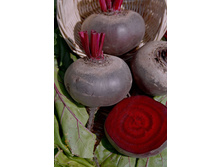 �ף��� ������������,(��) 7,50 ���. [���.13000097]