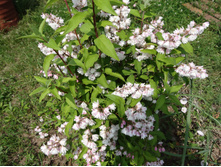 DSC00473.JPG ������