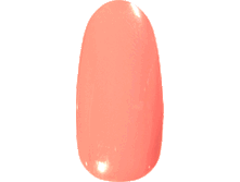 ����-��� Chatte Noire #954