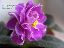 �� ��������� �������