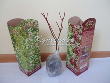 ����� ����� � �������  140�