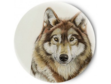 ������� �������� ����