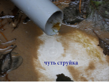 DSCN1908.JPG