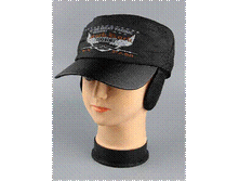 Image046.gif