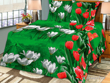 ���������.