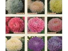 ����� ���� ����� � ������. ������ 16,99 ���..jpg