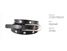 ������ � ������� �������� 11501/500-01 ������