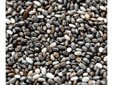 ��� ���� ����� ���