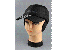 Image021.gif