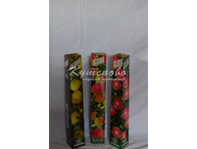 ������  240�