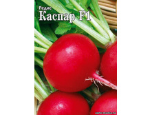 ����� ������ 1� ��� ��� �.� 16,20 ���. [���.��000000671]