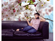 � ��������� 8NW-507 ������ Komar-Spring �������� �� ����� 368-254cm 2513���.jpg