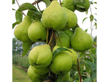 ����� ������� ��������-400�.