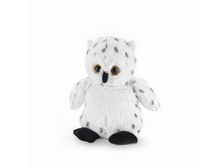 �������***������ ���� ���� 1145 �