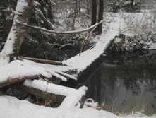DSCN3273s.JPG
